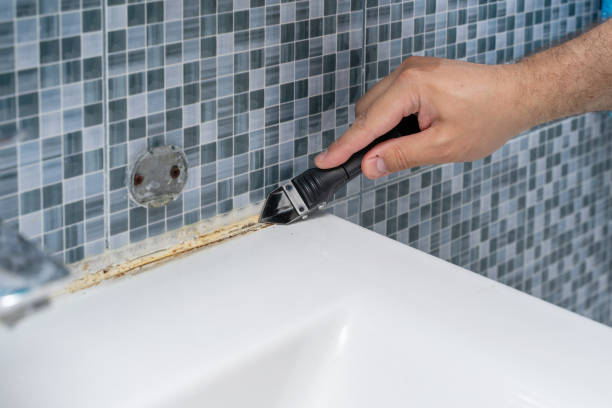 Best Kitchen Mold Remediation in New York, NY