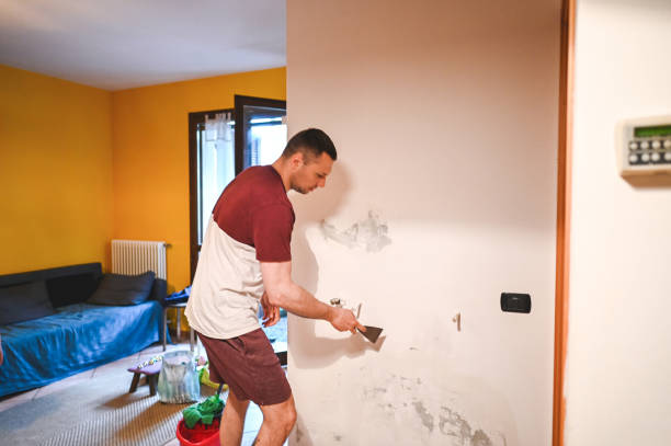Best Black Mold Remediation in New York, NY